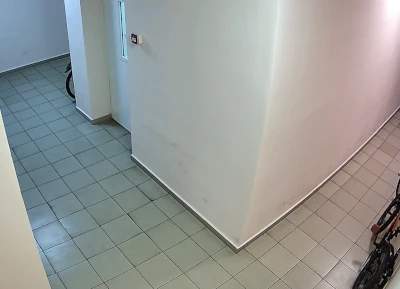 Подъездные камеры