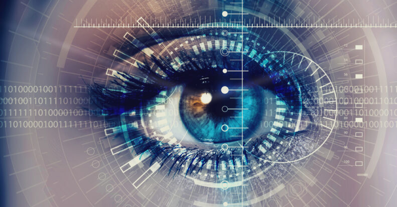 Who needs eye iris personality identification?